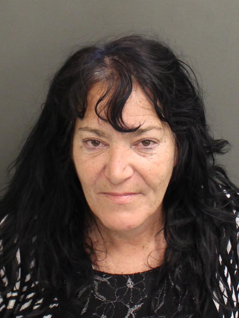  PATRICIA ANN TREVITHICK Mugshot / County Arrests / Orange County Arrests