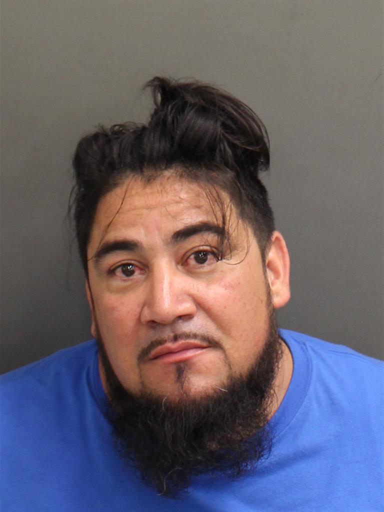  SAL SOSA Mugshot / County Arrests / Orange County Arrests
