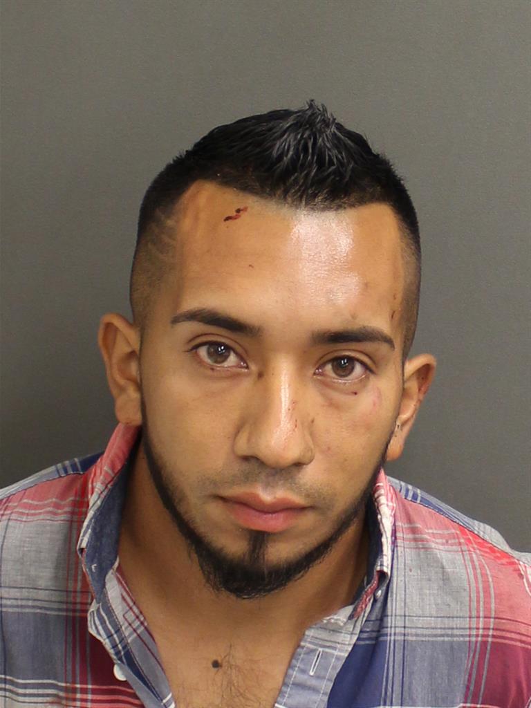  EDWIN ALEXANDER MELGARMEJIA Photo Image