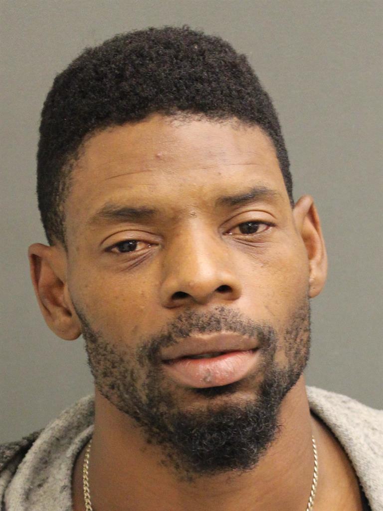  KIOYA GREEN Photo Image