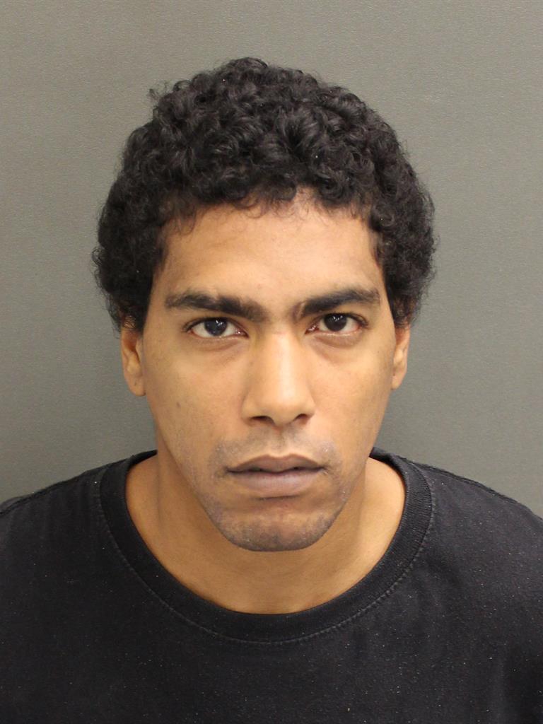  SEAN XAVIER CHILDS Mugshot / County Arrests / Orange County Arrests