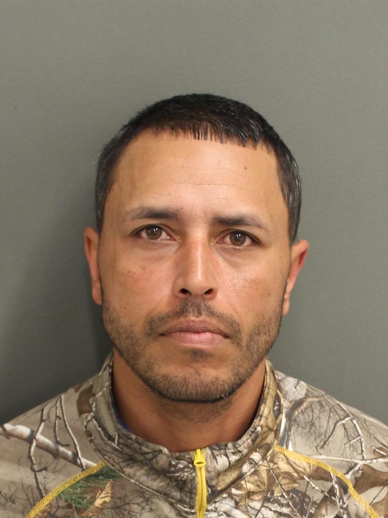  REINALDO ORTIZGONZALEZ Mugshot / County Arrests / Orange County Arrests