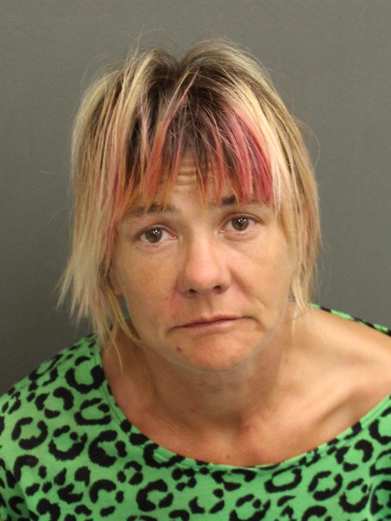  JULIE C DORT Mugshot / County Arrests / Orange County Arrests