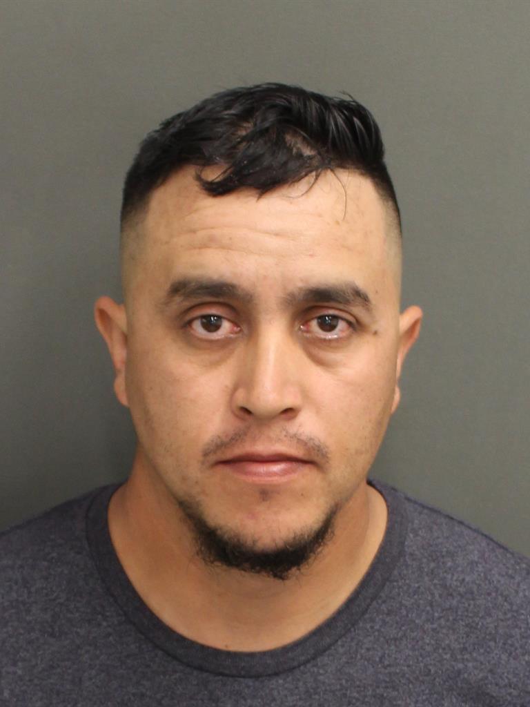  JOSE LUIS GONZALEZHERRERA Mugshot / County Arrests / Orange County Arrests