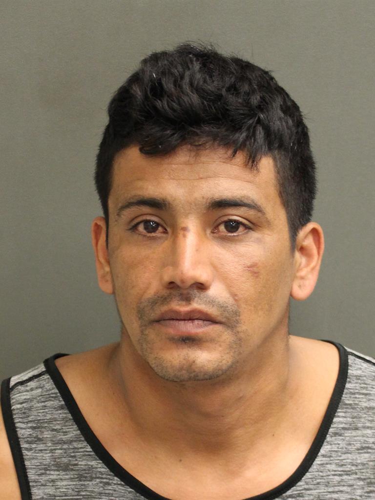  LUIS VALENZUELA Mugshot / County Arrests / Orange County Arrests