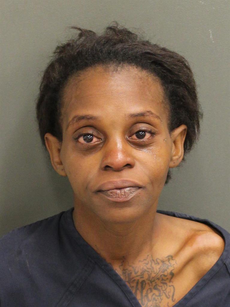  NINA LUBIN Photo Image