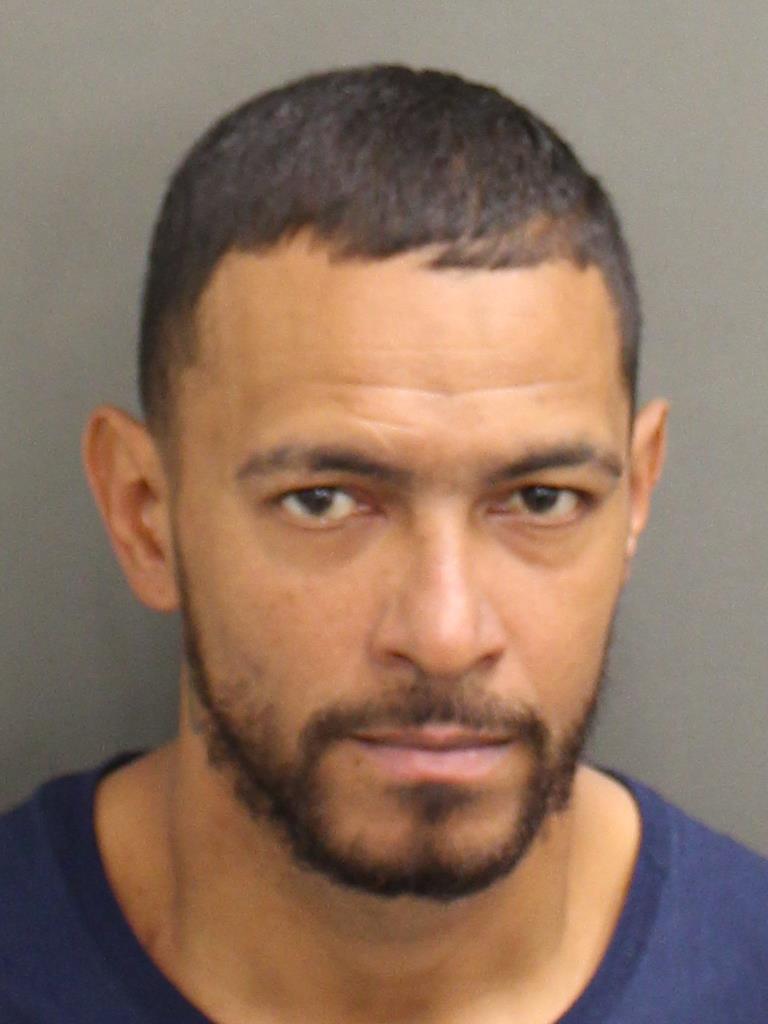  ALEXANDER RIVERANATER Mugshot / County Arrests / Orange County Arrests
