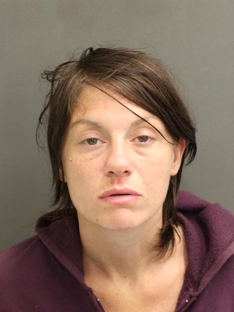  ASHLEY NICOLE DELAWDER Mugshot / County Arrests / Orange County Arrests