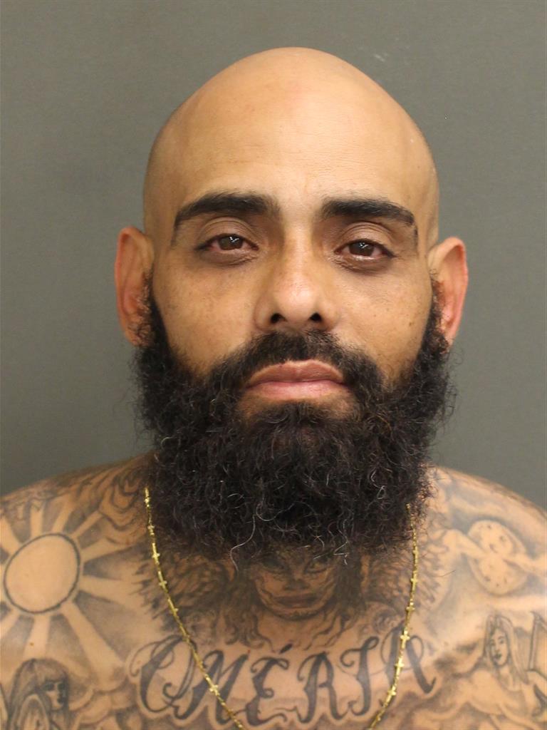  GIUSEPPE CARBONE Photo Image