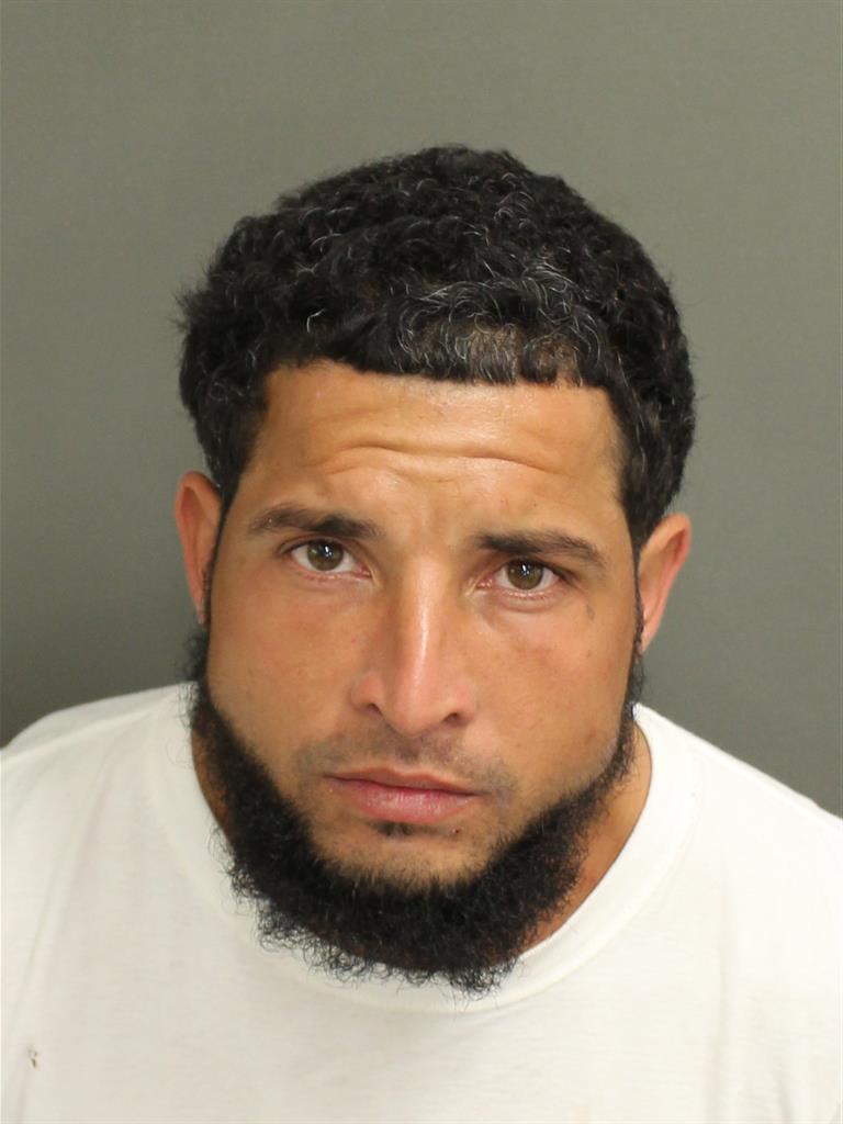  LUIS ANTONIO PAGAN Mugshot / County Arrests / Orange County Arrests