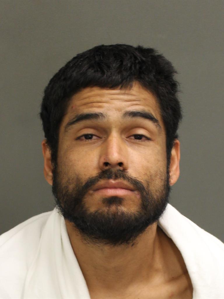  ANDRES JAVIER ACEVEDOVEGA Mugshot / County Arrests / Orange County Arrests