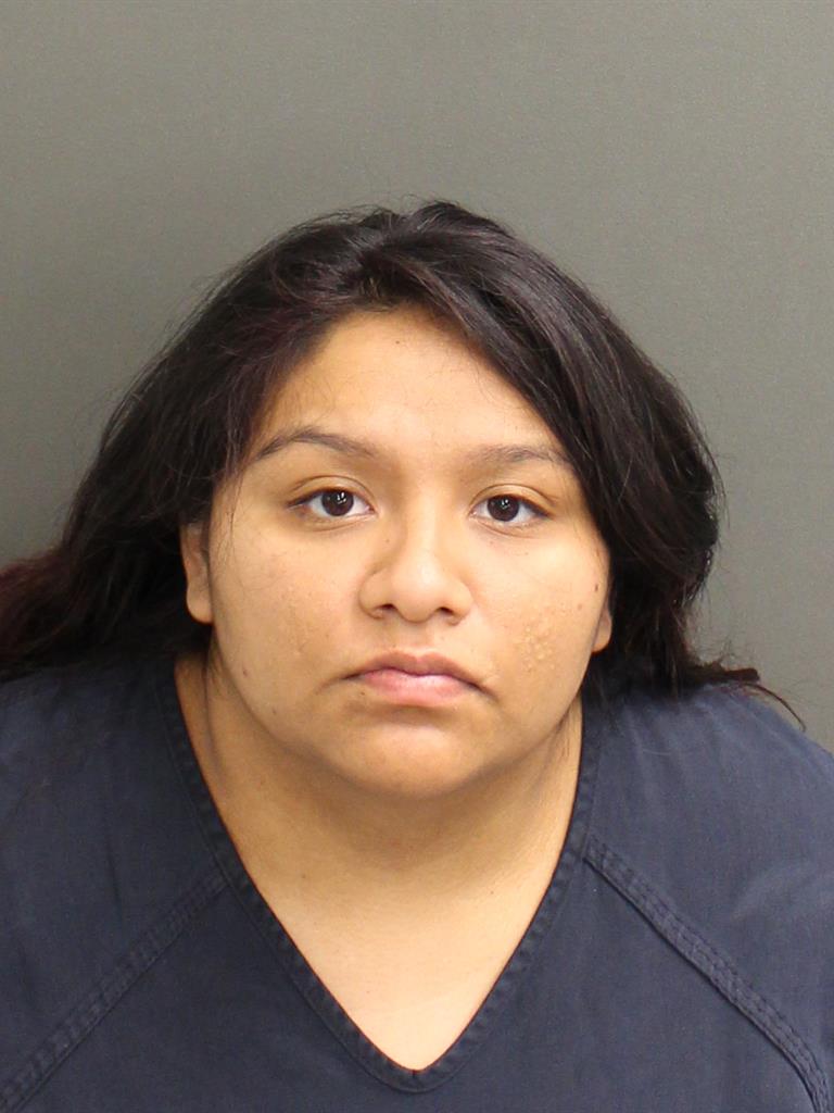  SARITA JENNIFER ARAUJO Mugshot / County Arrests / Orange County Arrests