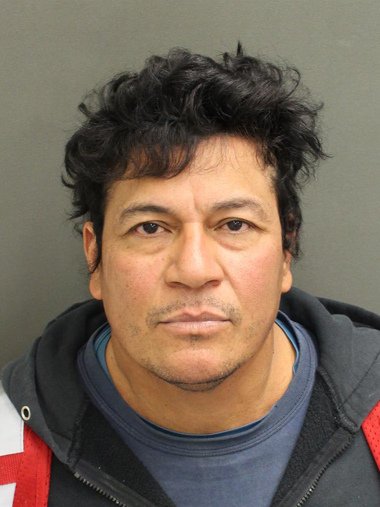  EDILTRUDES VILLATORO Mugshot / County Arrests / Orange County Arrests