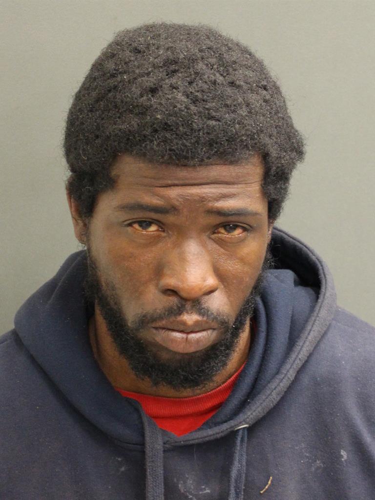  MICHAEL LEE OUTING Mugshot / County Arrests / Orange County Arrests