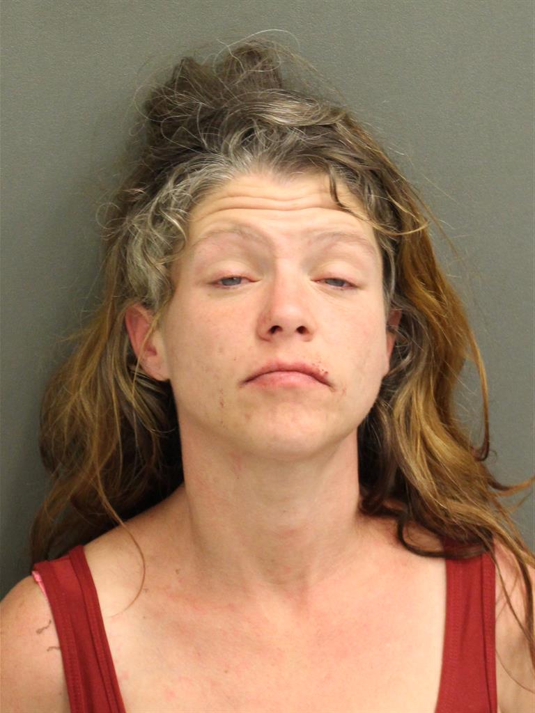  REBECCA RUTH LEWIS Mugshot / County Arrests / Orange County Arrests