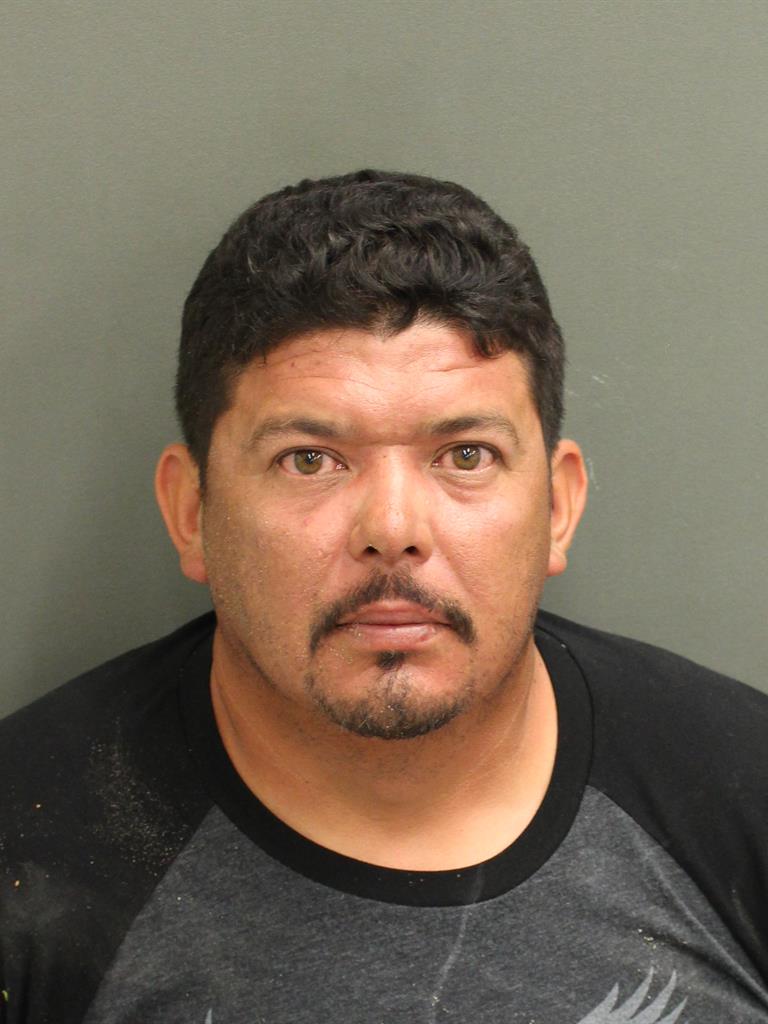  RAFAEL AGUIRRERAMIREZ Mugshot / County Arrests / Orange County Arrests