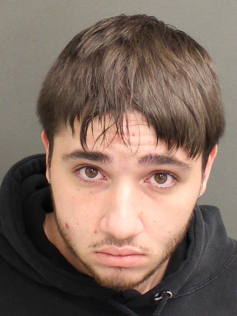  RYAN HAZIMI Mugshot / County Arrests / Orange County Arrests