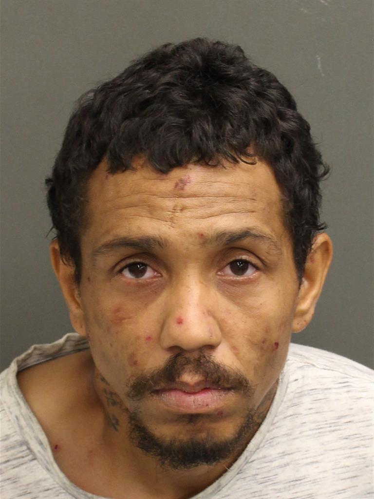  REYNOEL FIGUEROALEON Mugshot / County Arrests / Orange County Arrests