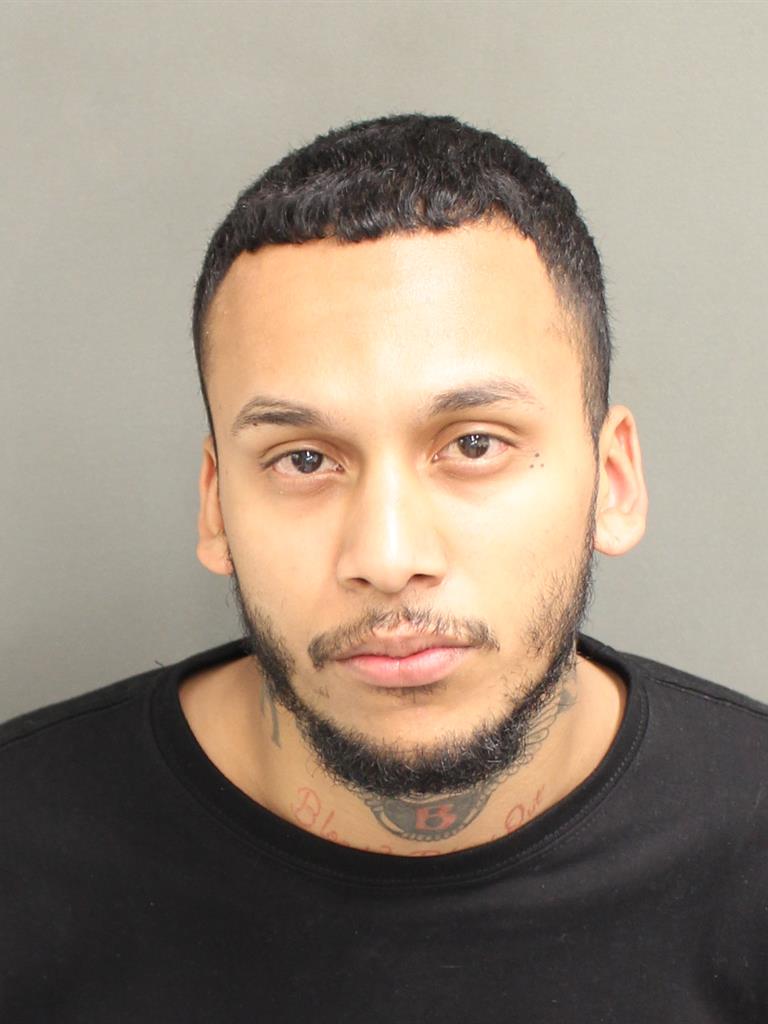  HECTOR LUIS JR LEFEBRE Mugshot / County Arrests / Orange County Arrests