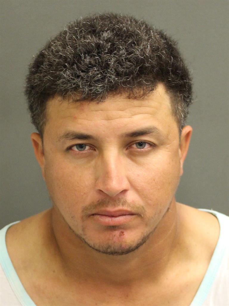 ELMER JULIAN ROMEROMOLINA Mugshot / County Arrests / Orange County Arrests
