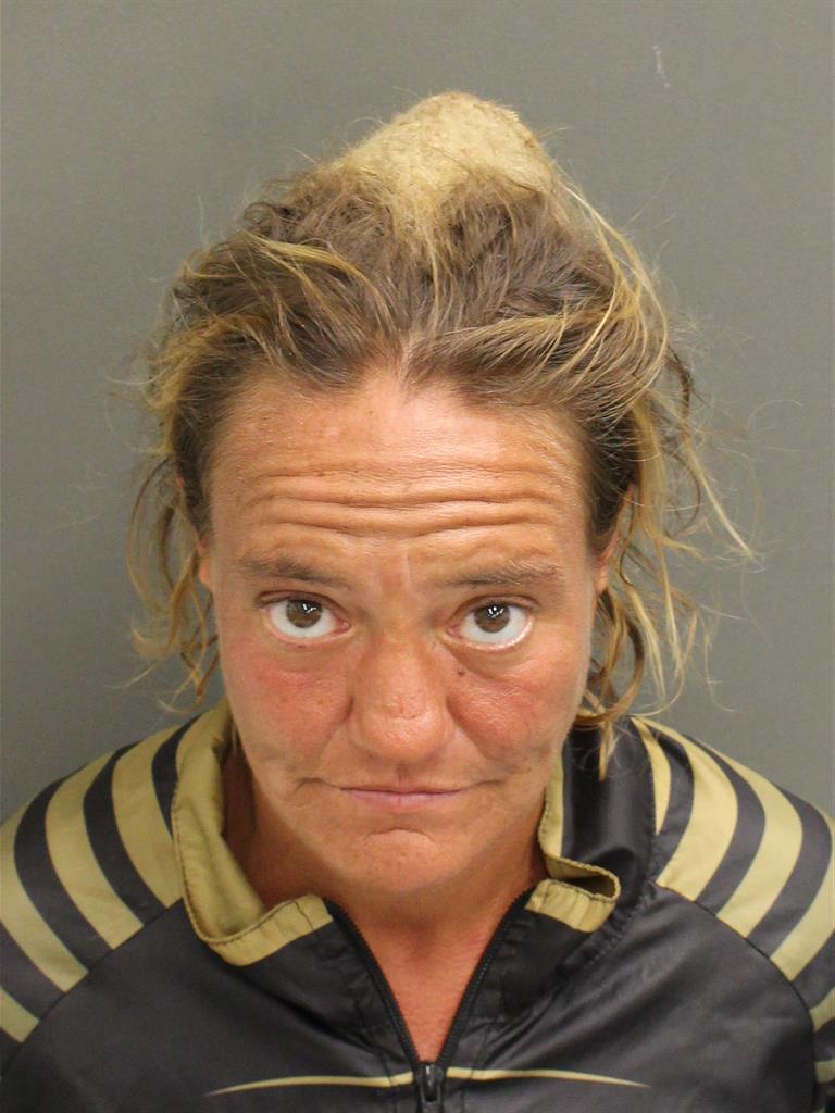 JULIE FELBER Mugshot / County Arrests / Orange County Arrests