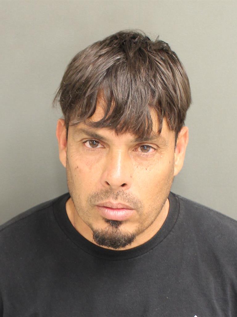  RAFAEL GARCIA REYES Mugshot / County Arrests / Orange County Arrests