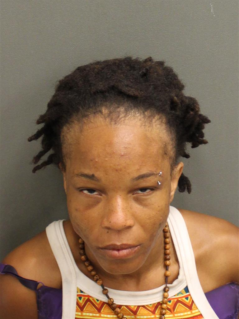  ERICA M MCCLURE Mugshot / County Arrests / Orange County Arrests