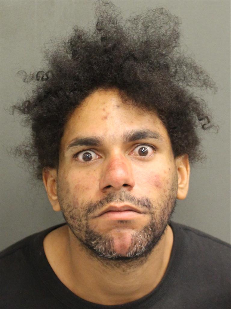  PEDRO JUAN MELENDEZOPIO Mugshot / County Arrests / Orange County Arrests