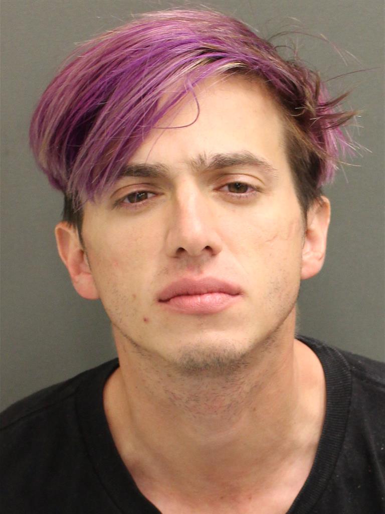  PHILLIP DOUGLAS SNYDER Mugshot / County Arrests / Orange County Arrests