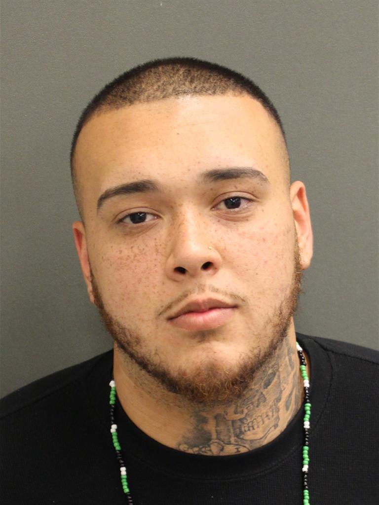 LUIS ORLANDO JR SUAREZ Mugshot / County Arrests / Orange County Arrests