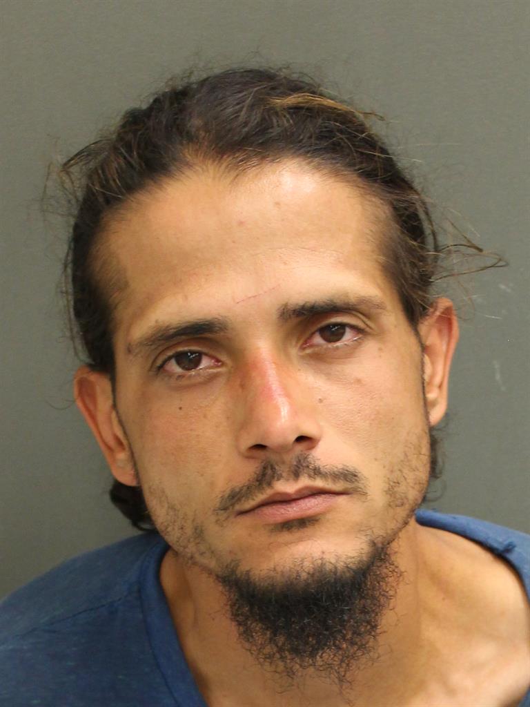 DAVID LEE PAULLEY Mugshot DAVID LEE PAULLEY Mugshot / County Arrests / Orange County Arrests