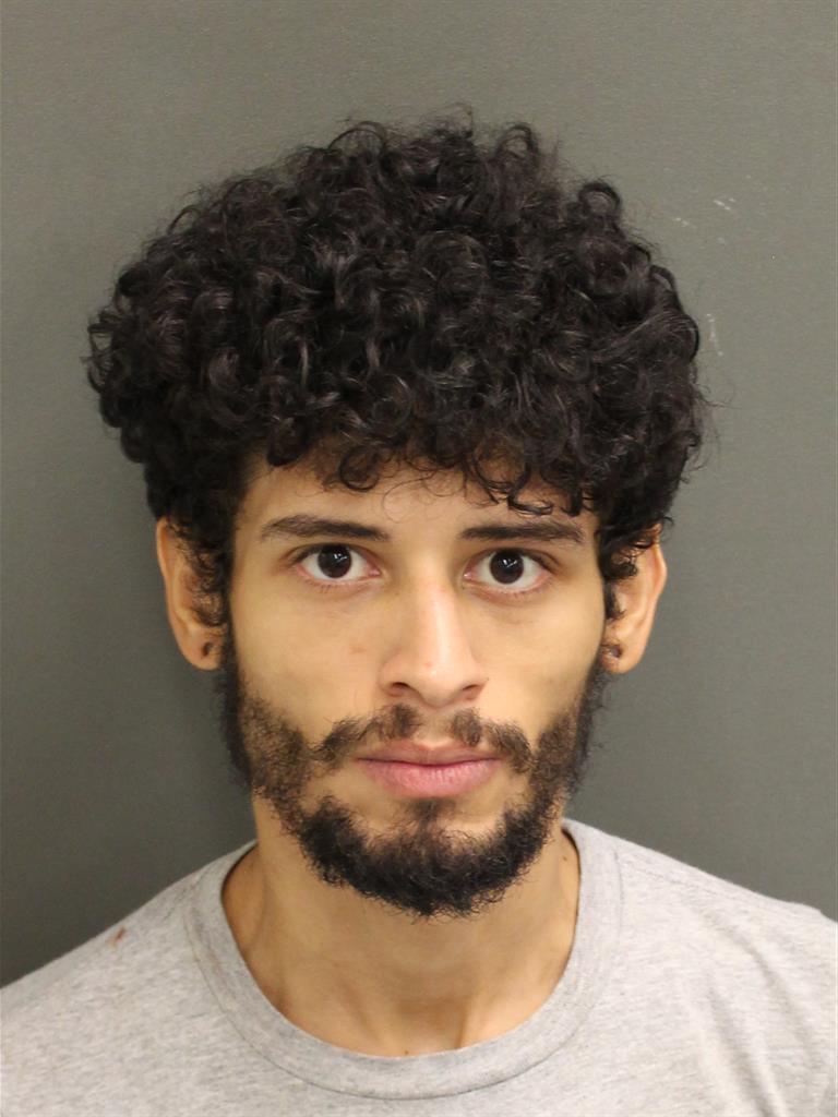  LUIS LOPEZCRUZ Mugshot / County Arrests / Orange County Arrests