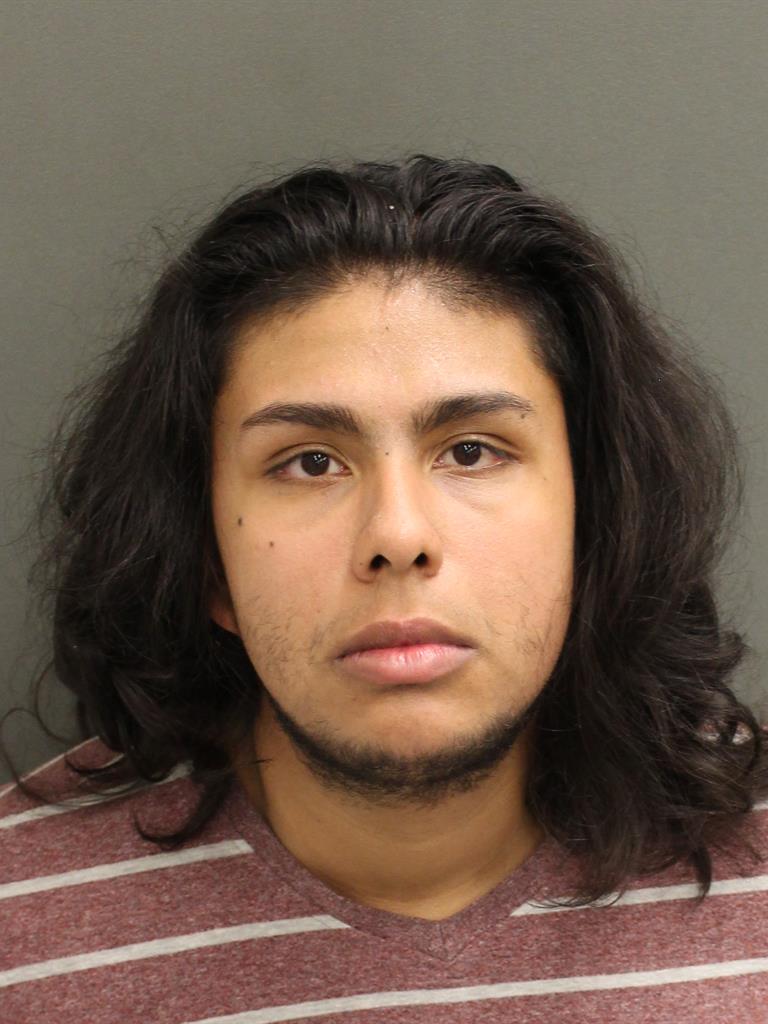  LUIS ISMAEL RAMIREZ Mugshot / County Arrests / Orange County Arrests