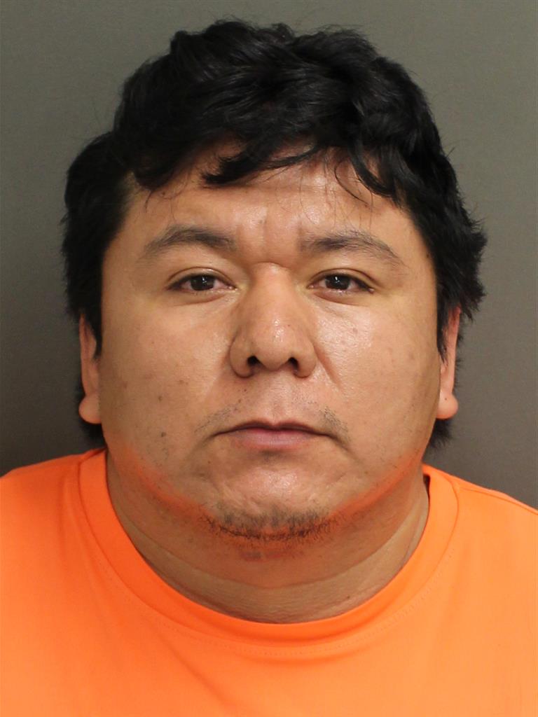  SERGIO ARTEAGARAMIREZ Mugshot / County Arrests / Orange County Arrests