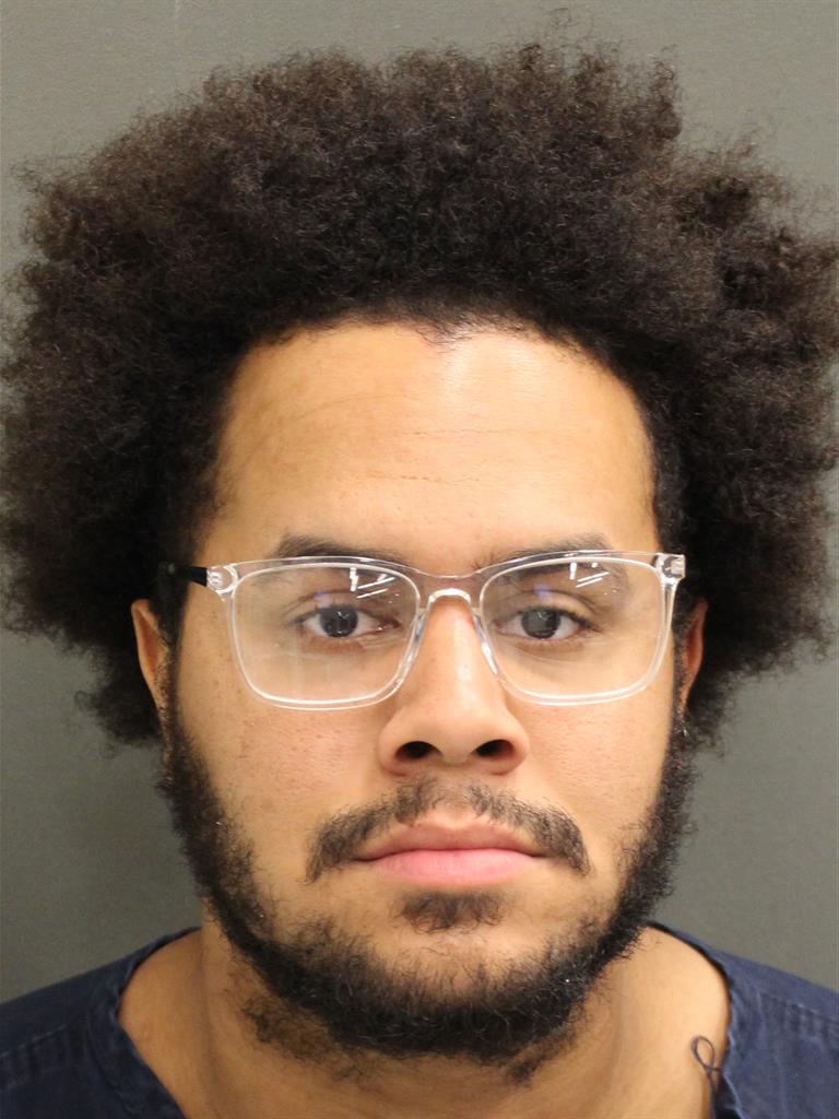  YERSON FRANCISCO VILLA Mugshot / County Arrests / Orange County Arrests