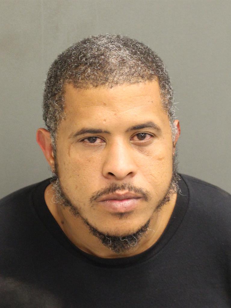  ANDIE ANDREW LANG Photo Image