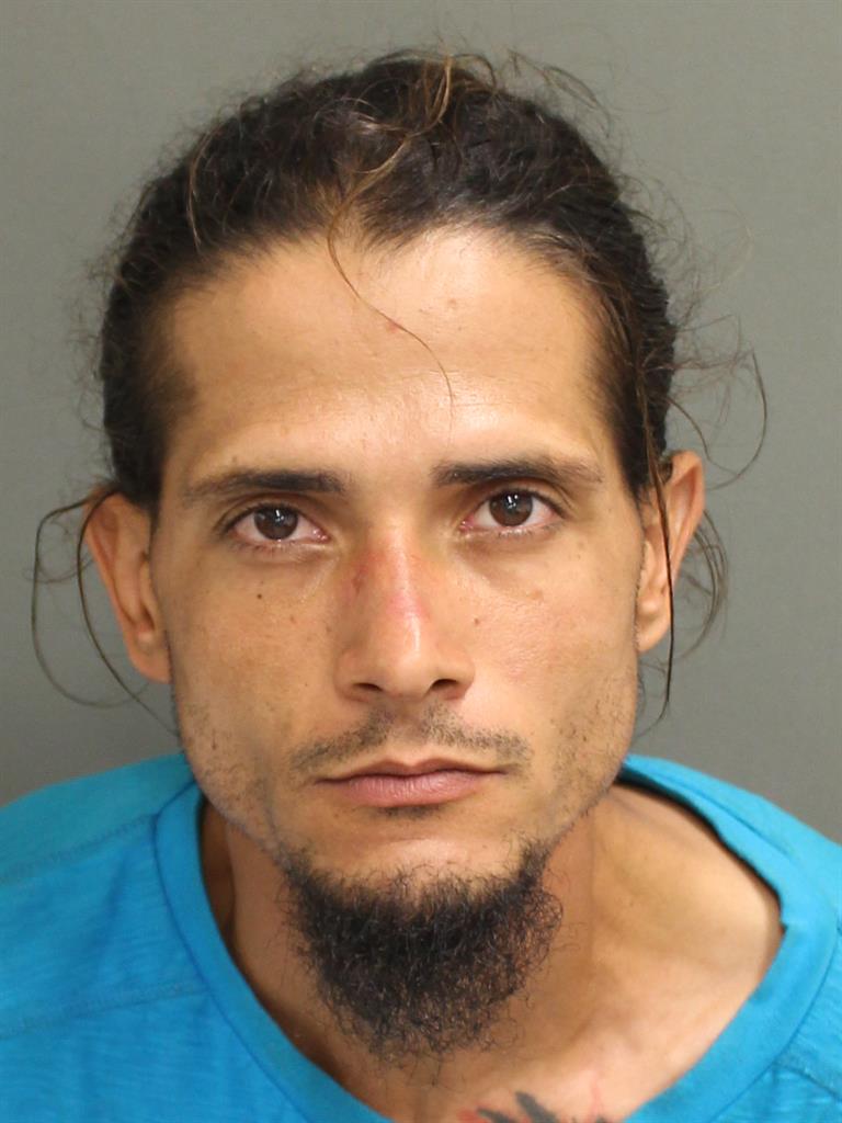  DAVID L PAULLEY Mugshot / County Arrests / Orange County Arrests