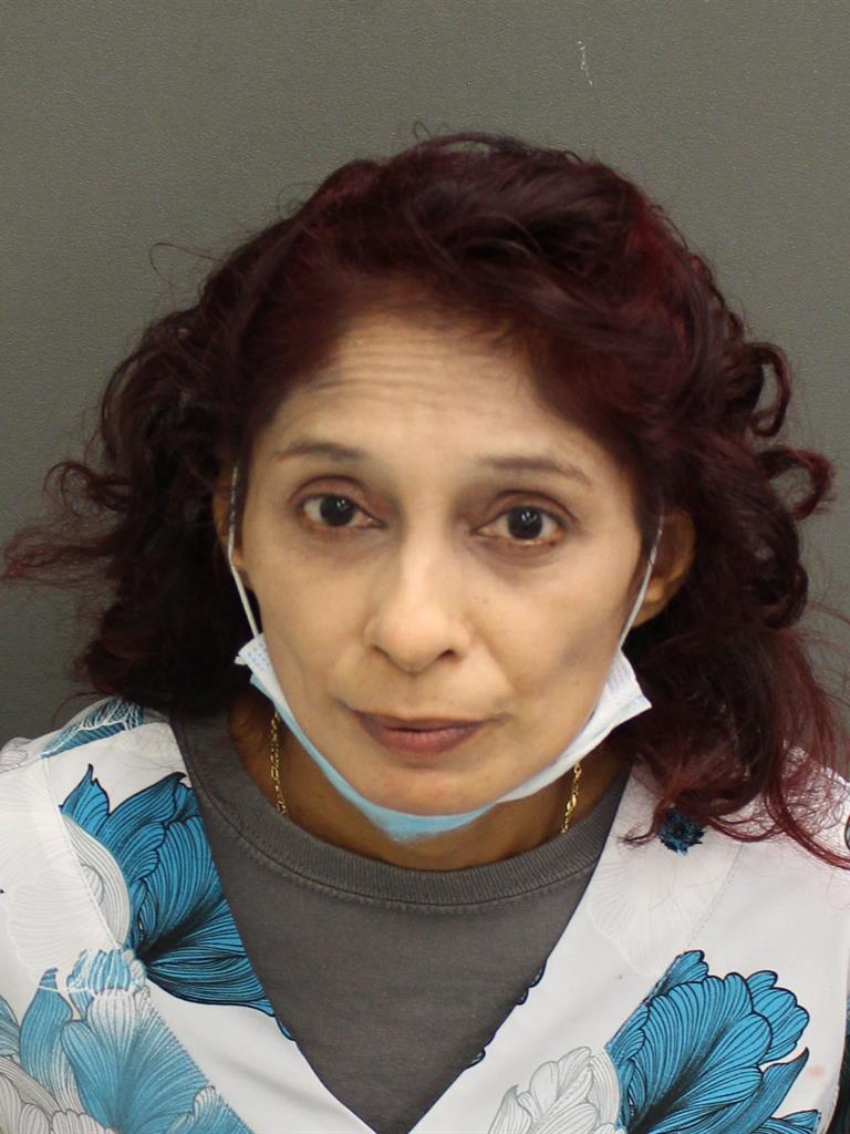  DEBRA ALENA RIYASAT Mugshot / County Arrests / Orange County Arrests