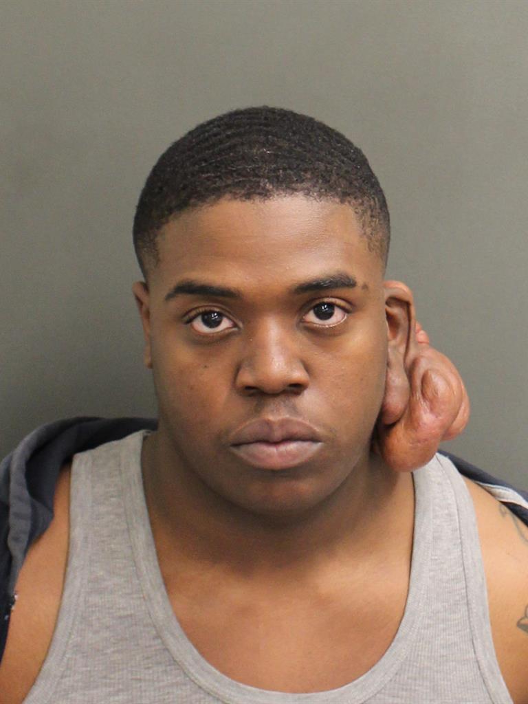  DARIAN JAMAL FLEMING Photo Image