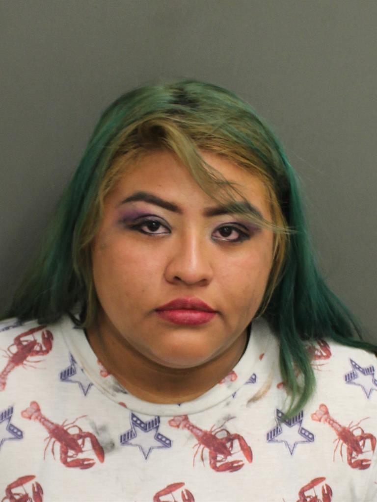  SANDRA HERNANDEZ Mugshot / County Arrests / Orange County Arrests