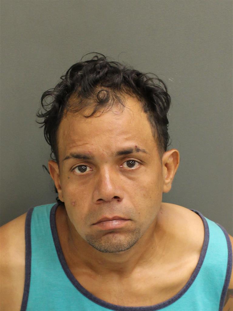  JOEL ANTONIO ABREU Mugshot / County Arrests / Orange County Arrests