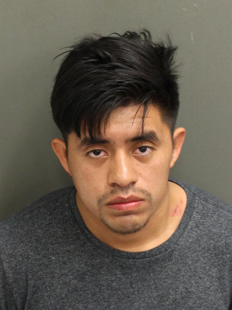  CRISTOBAL D MATEOMATEO Photo Image