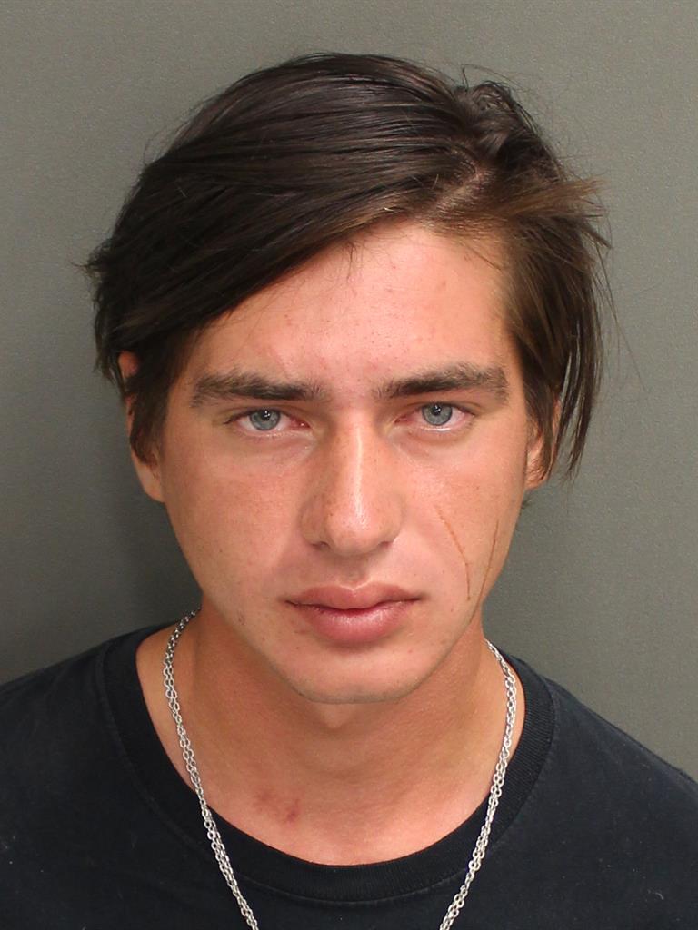  ION GAINA Photo Image