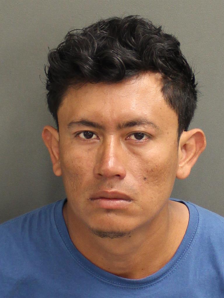  DARWIN MAYEN Photo Image