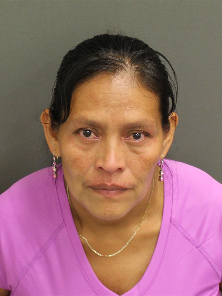  ZOILA MAQUIN PANA DE CABNA Photo Image