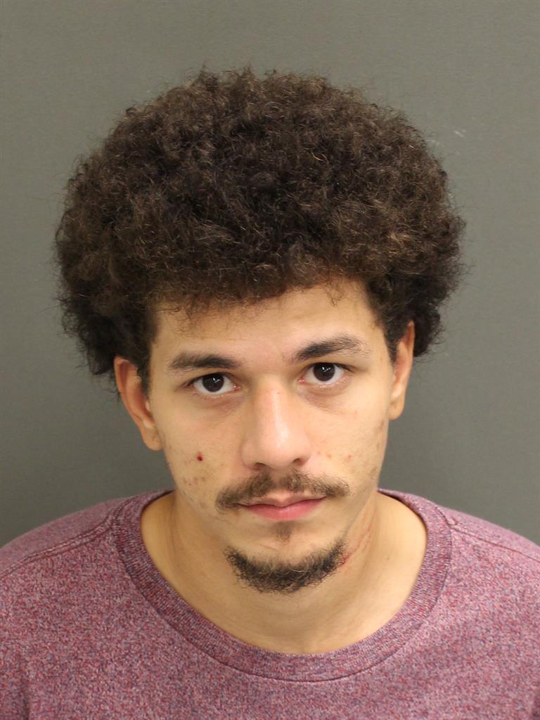  MICHAEL JAMES GORBEA GONZALEZ Mugshot / County Arrests / Orange County Arrests