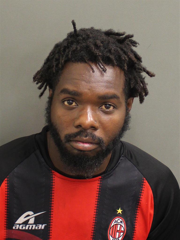  ZIGGY METHELUS Mugshot / County Arrests / Orange County Arrests