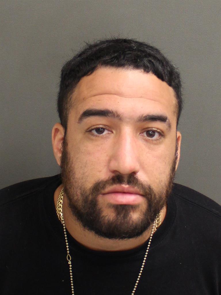  LANDY EMANUEL FERREIRA Mugshot / County Arrests / Orange County Arrests