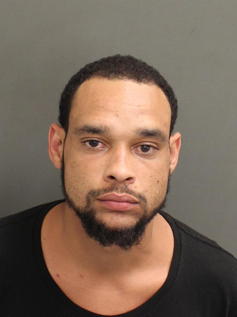 RAY JEROME JR STYLES Mugshot