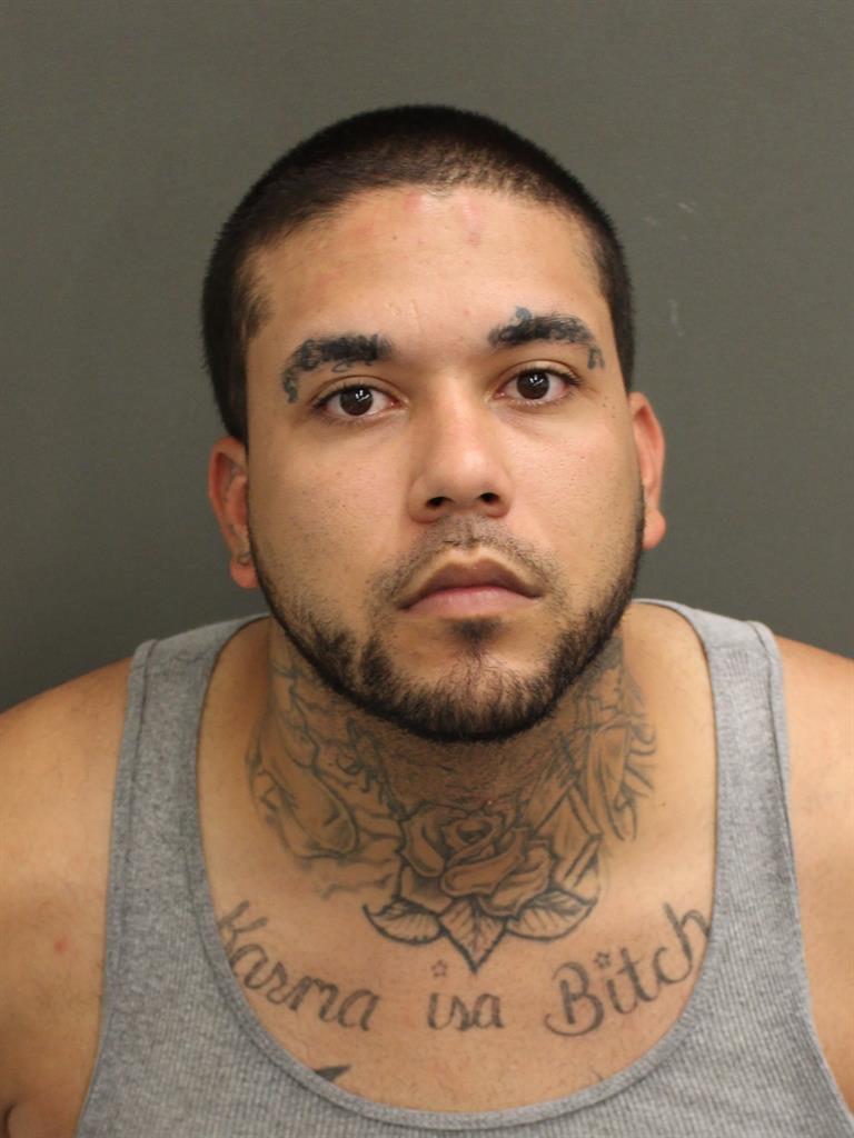 HECTOR ANDRES ROSAPADILLA Mugshot / County Arrests / Orange County Arrests